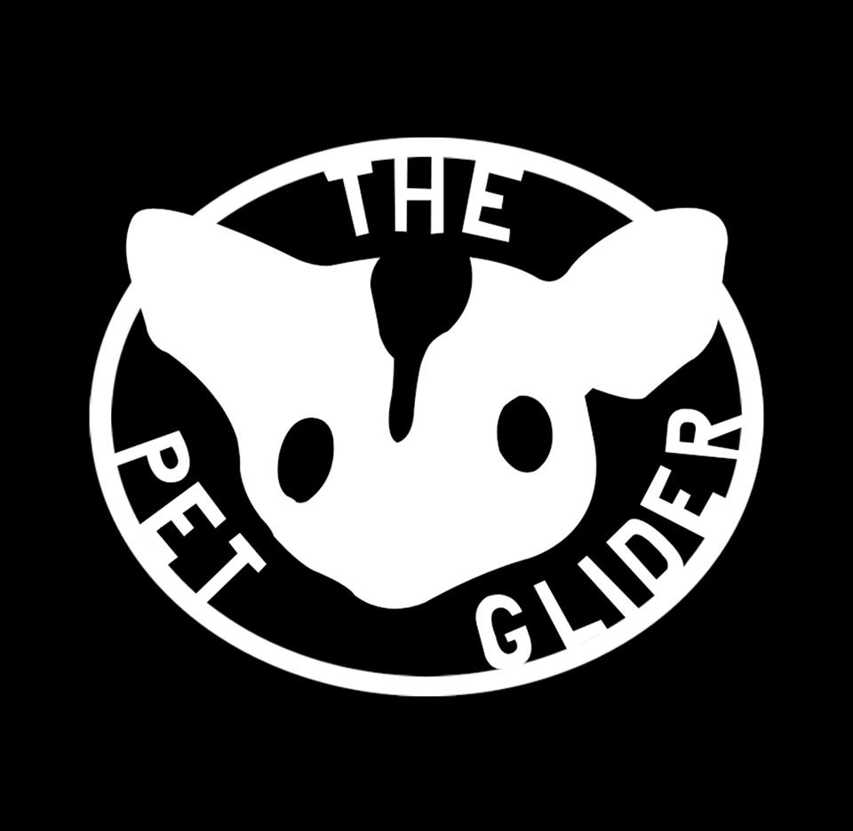 The Pet Glider Offers Training with Sugar Gliders for Sale in Austin